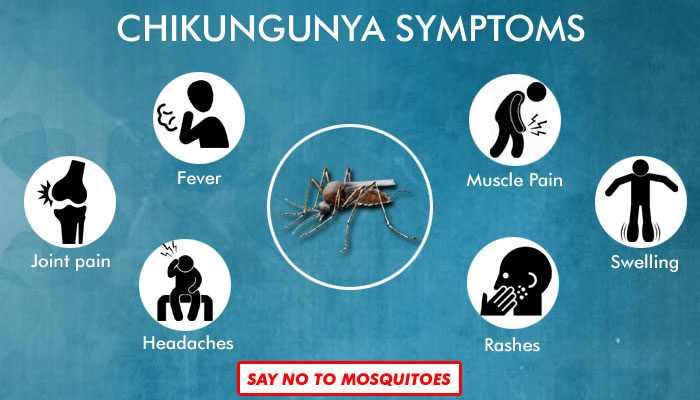 Chikungunya